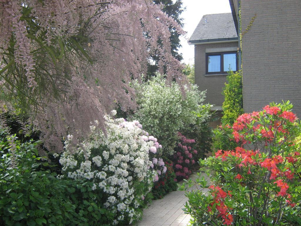 Prince D'Orange Bed & Breakfast Braine-l'Alleud Exterior photo